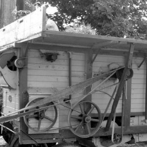 Mowing, Threshing & 'Meitheal'