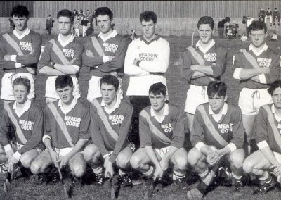 1993 Kilconieron County Intermediate Champions