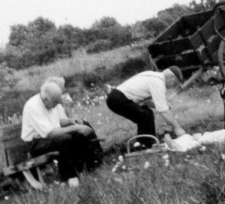 Working on the Bog in the late 1940s