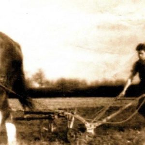 Young Boy in Rural Ireland