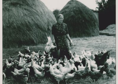 Hens